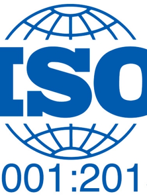 Sơn Tùng đạt chuẩn ISO 90012015